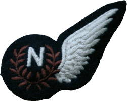 Badge Штурман 