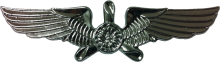 Знак Pilot