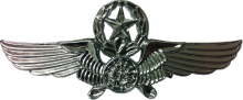 Знак Master pilot