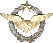 Знак Штурман радио-оператор