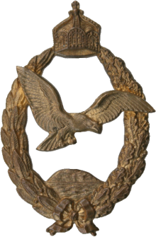 Знак Pilot