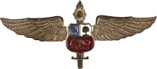Знак Pilot