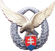 Знак Pilot 2nd class