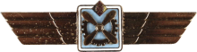 Знак Technician