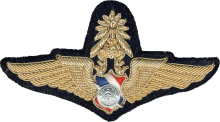 Знак Master pilot