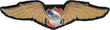 Знак Pilot