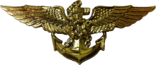 Знак Пилот