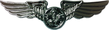 Знак Air crewman
