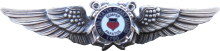 Знак Авиатор береговой охраны Знак Авиатор береговой охраны