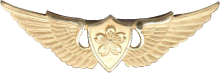Знак Pilot