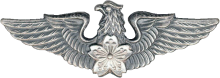 Знак Пилот