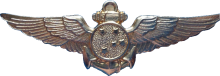 Знак Pilot
