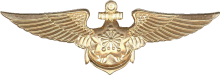 Знак Пилот
