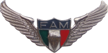 Знак Парашютист