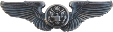 Знак Член экипажа Знак Член экипажа