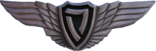 Знак Пилот легкого летательного аппарата