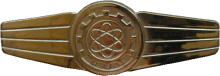 Знак Technician, gold