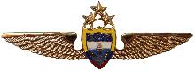 Знак Pilot Знак Pilot
