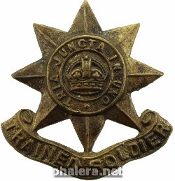 Нагрудный знак Guards Regiment Division Trained Soldier Arm/Sleeve Cap Badge 