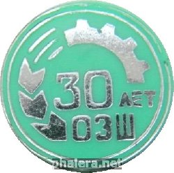 Знак 30 лет ОЗШ