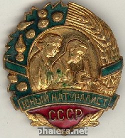 Badge  