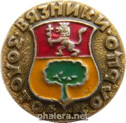 Нагрудный знак Вязники ЗОЛОТОЕ КОЛЬЦО 
