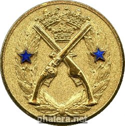 Знак Стрельба из пистолета, 2 класс