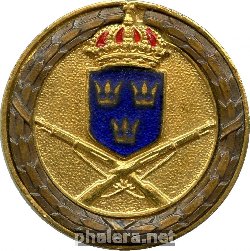 Знак Стрельба из винтовки