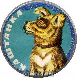 Знак Каштанка