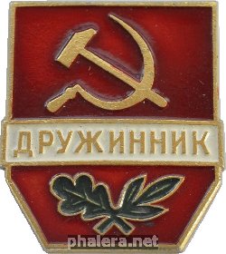 Нагрудный знак Дружинник 