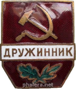 Нагрудный знак Дружинник 
