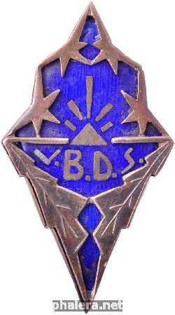Нагрудный знак Школьный Знак VBDS 