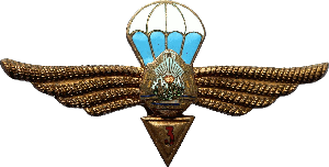 Знак Парашютист 3 класса
