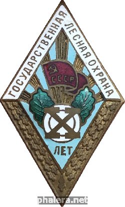 Нагрудный знак 10 Лет Государственная Лесная Охрана 