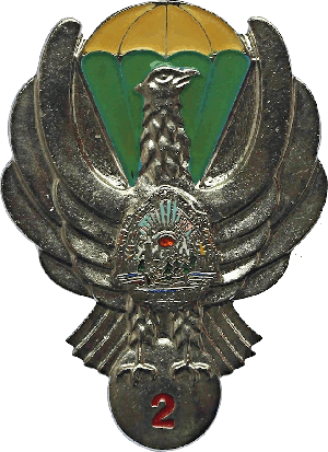 Знак Парашютист 2 класса