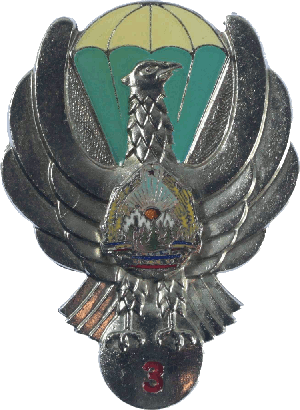 Знак Парашютист 3 класса