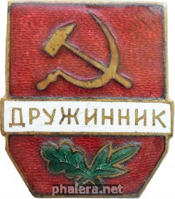 Нагрудный знак Дружинник 