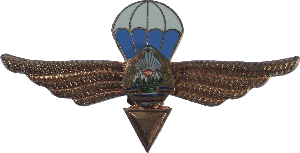 Знак Парашютист без класса
