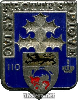 Нагрудный знак 110 Пехотный Полк.франция 