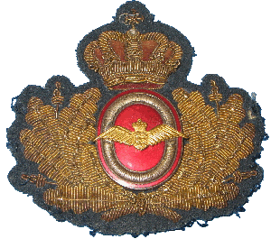 Знак Air Force officer's cap badge