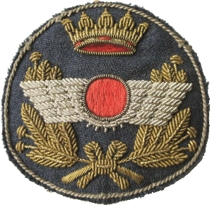 Знак Кокарда ВВС