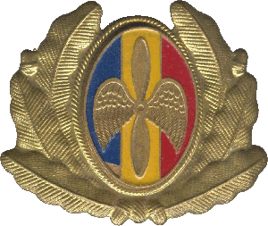 Знак Officer Air force cap badge