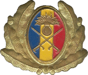 Знак Infantry officer cap badge
