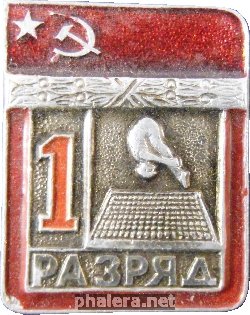 Нагрудный знак 1 Разряд. Батут 