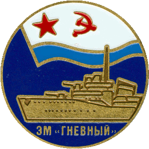 Нагрудный знак ЭМ. 