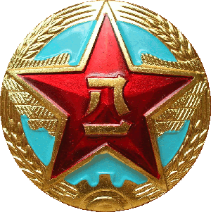 Знак Кокарда ВВС