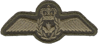 Знак Pilot