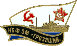 Нагрудный знак ЭМ 