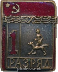 Нагрудный знак 1 Разряд Каникросс  