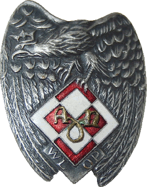 Знак Air force Squadron